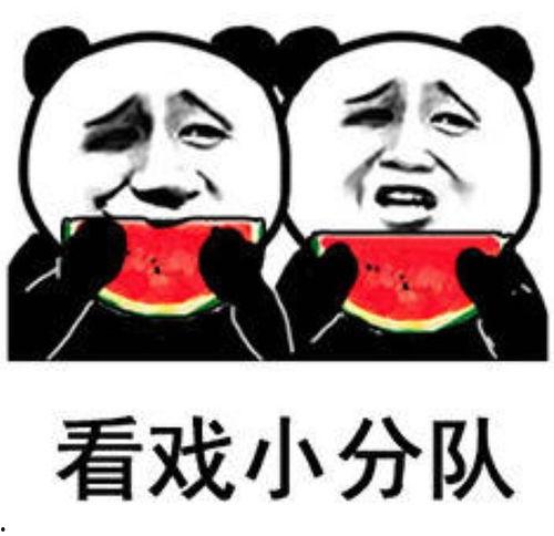 娱乐吃瓜表情图片,笑翻你的表情瞬间